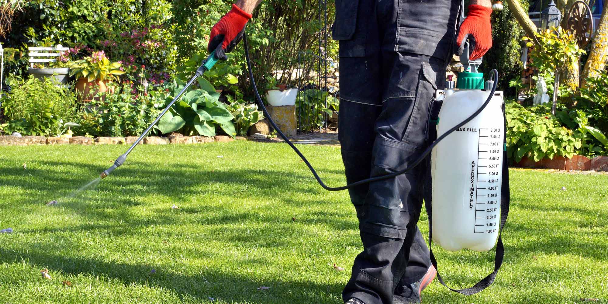 man spraying roundup on grass