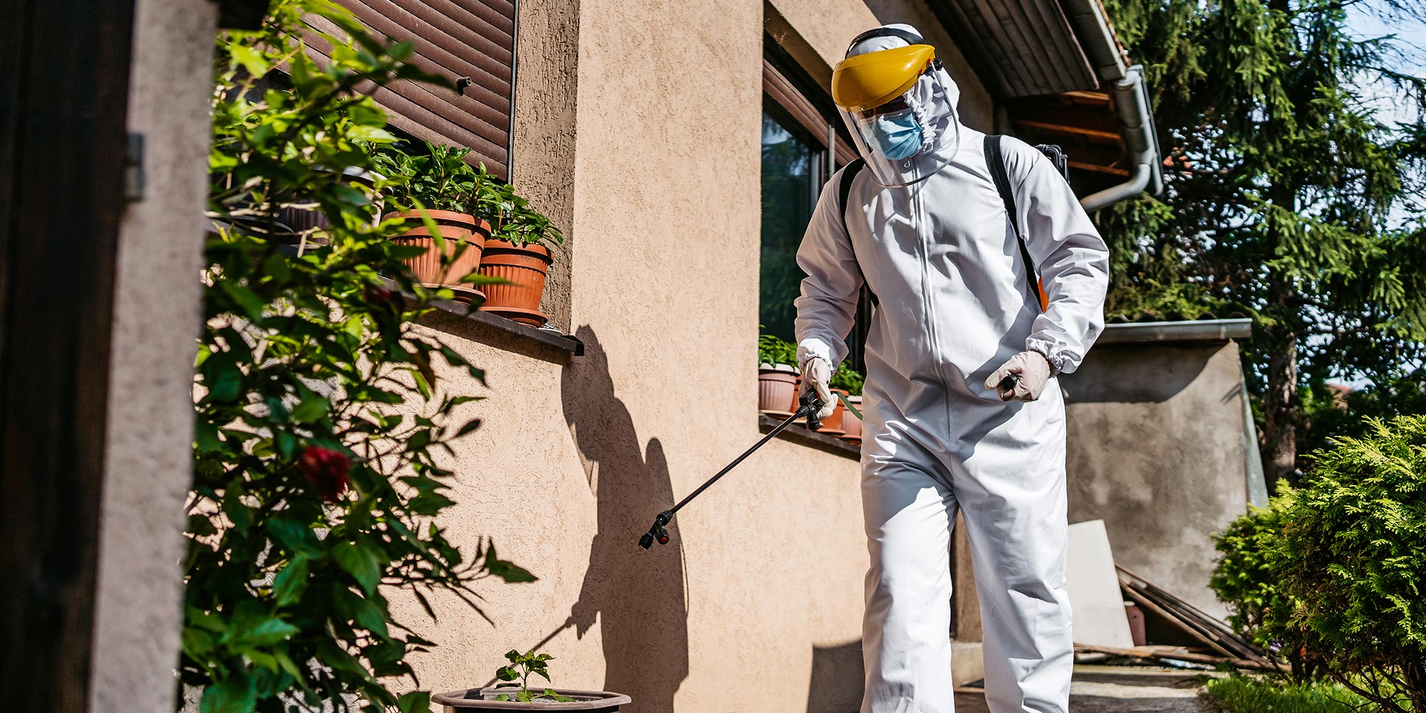 Roundup Update for November 2022