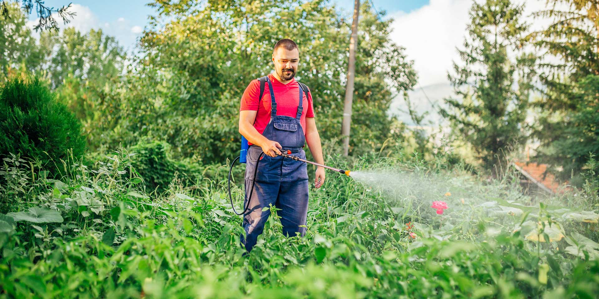 Study Finds Clear Link Between Use of Depo-Provera and Development of Brain Tumors 9 Spraying Weed Killer