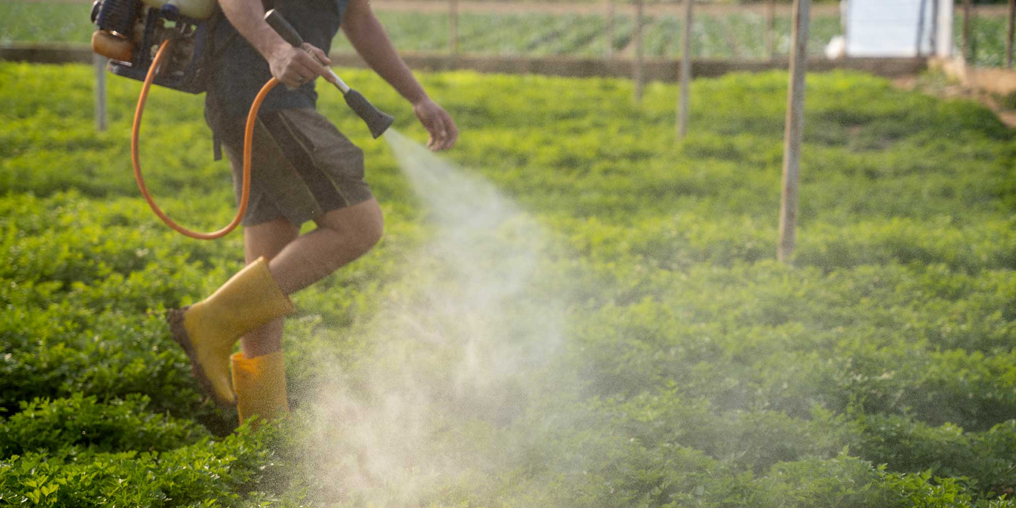 Study Finds Clear Link Between Use of Depo-Provera and Development of Brain Tumors 4 roundup